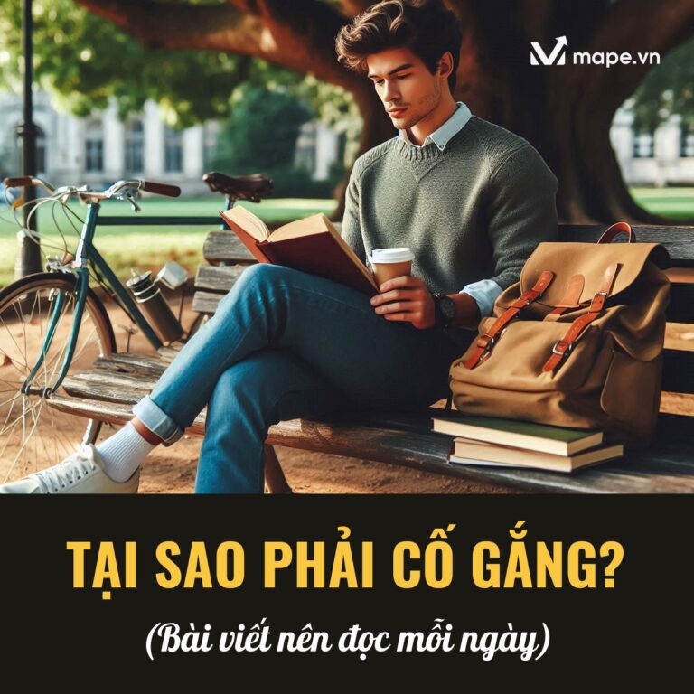 tại sao phải cố gắng?-mape academy