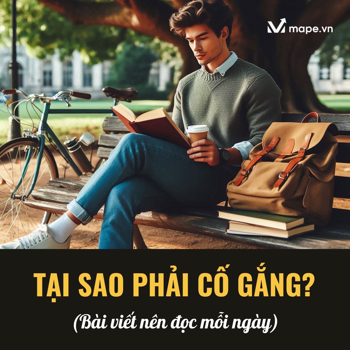 tại sao phải cố gắng?-mape academy